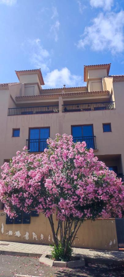 Casa Banana Sunset Apartamento Santa Cruz de Tenerife Exterior foto